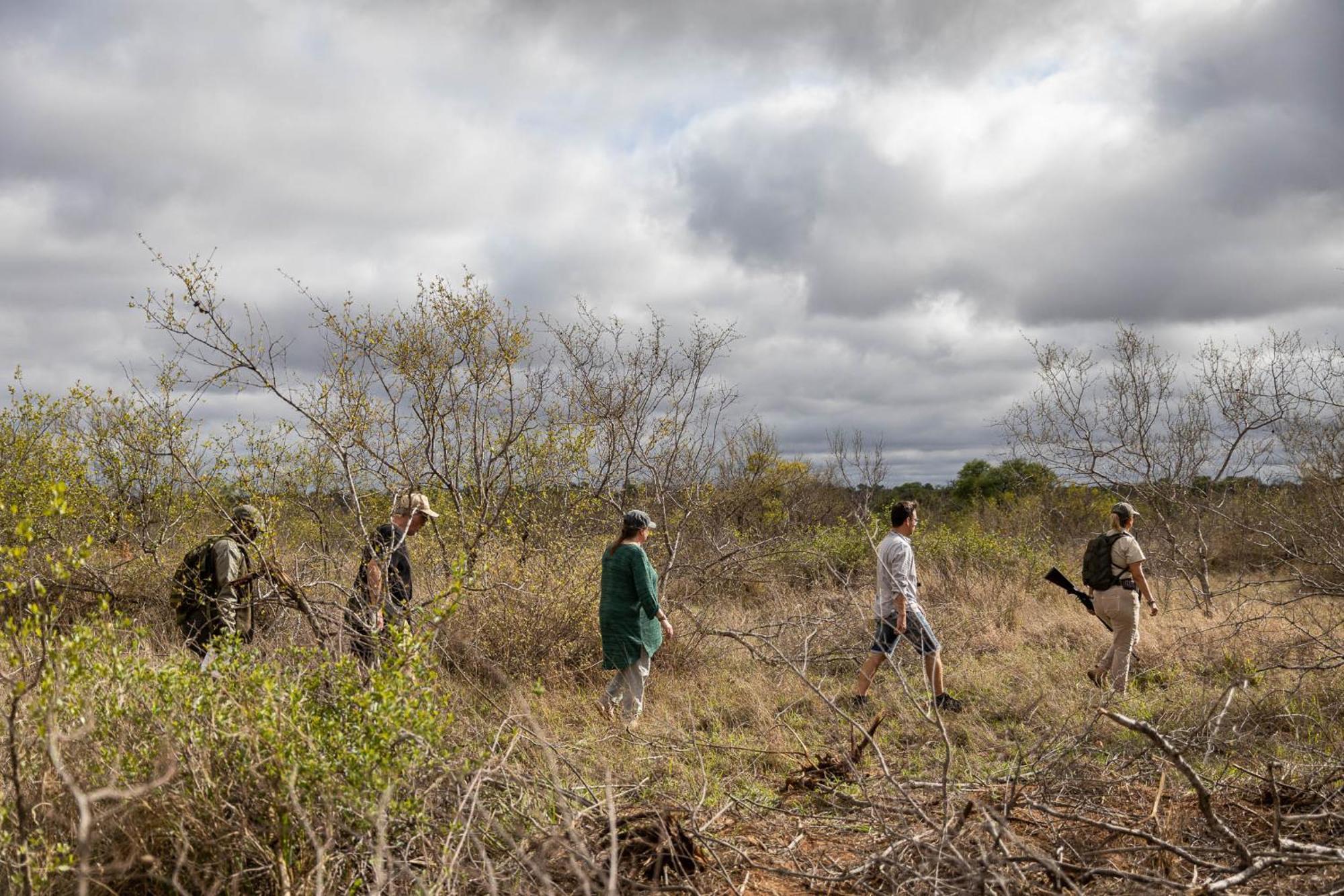 Africa On Foot Villa Klaserie Private Nature Reserve Exterior photo
