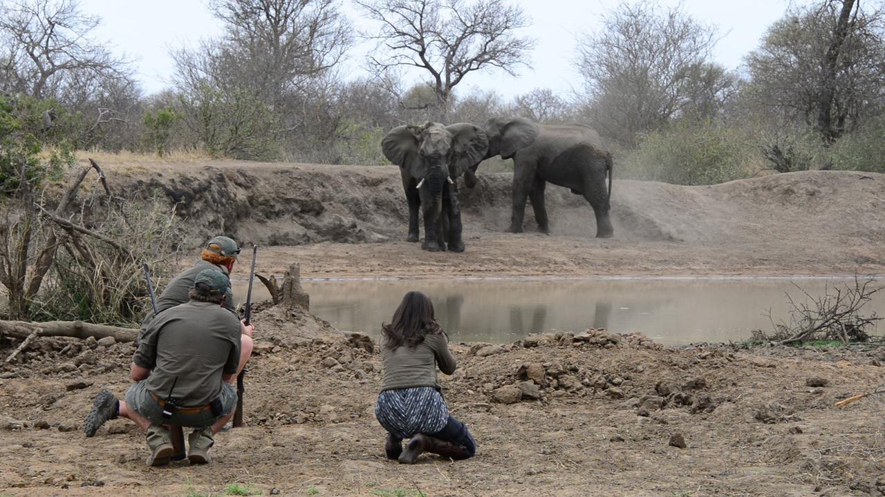 Africa On Foot Villa Klaserie Private Nature Reserve Exterior photo