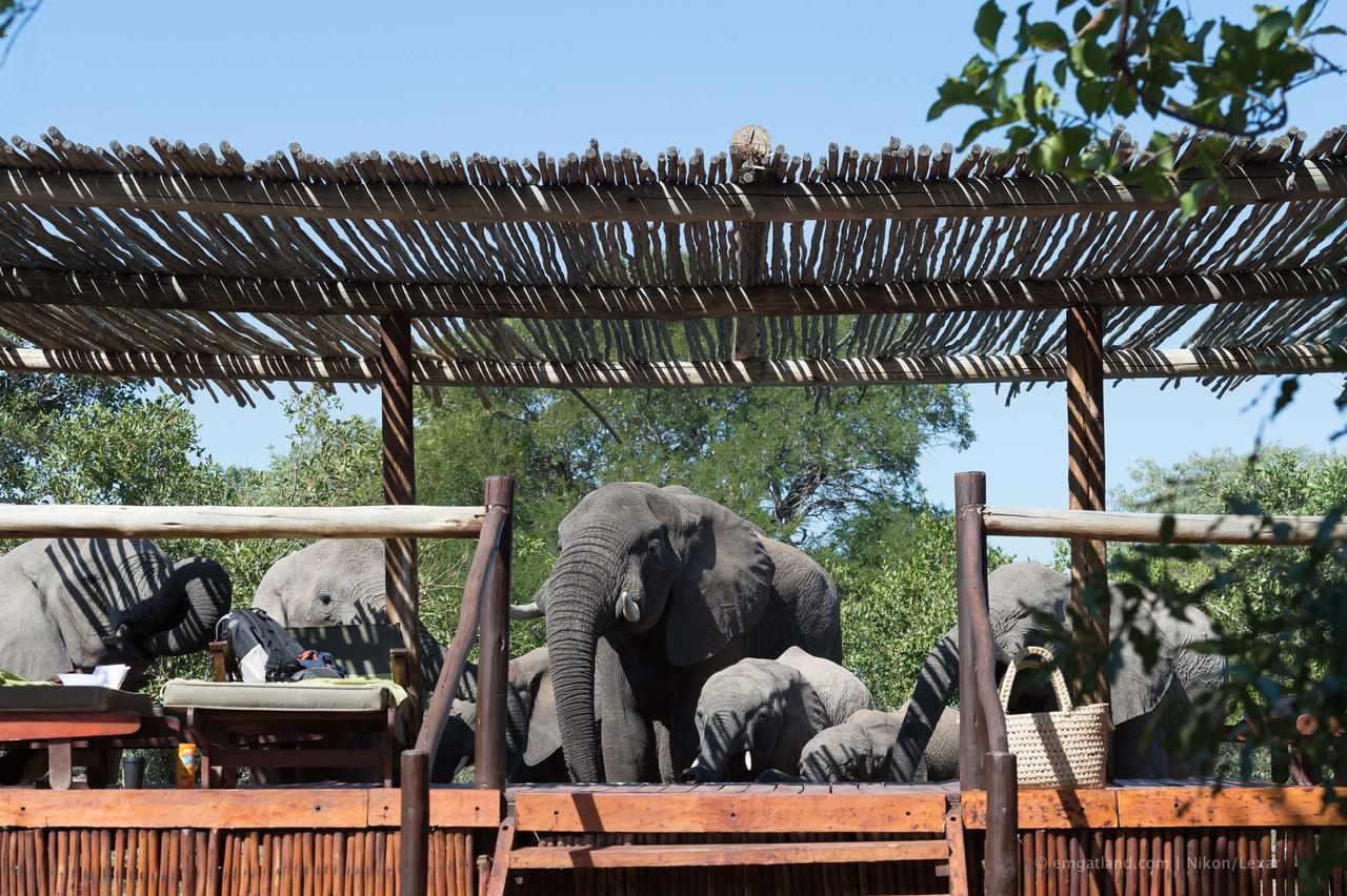 Africa On Foot Villa Klaserie Private Nature Reserve Exterior photo